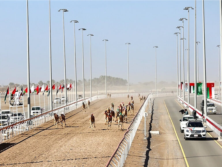 Al Bashayer Camel Racing Festival from Feb 2
