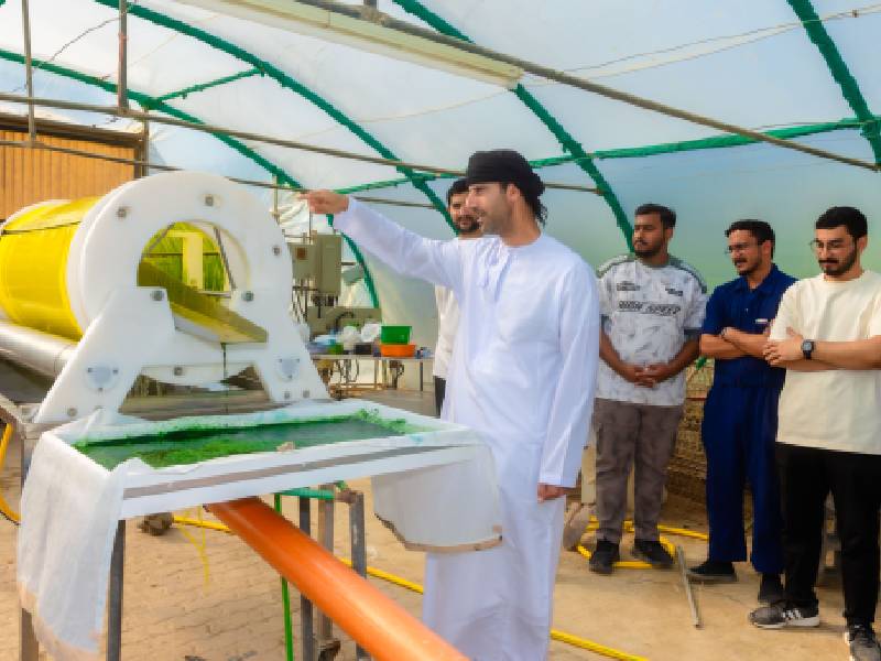 SQU produces spirulina at commercial scale for first time