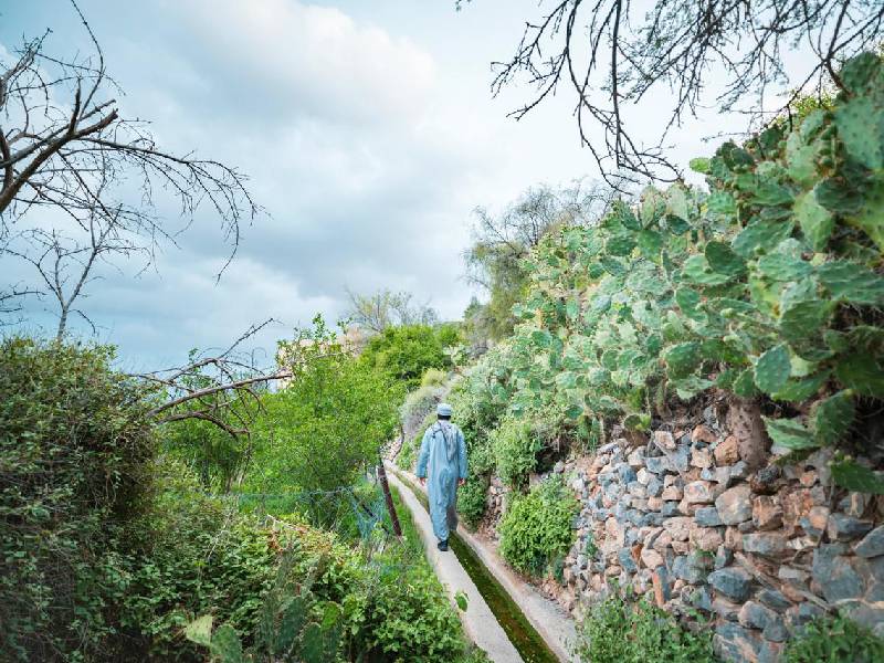 Initiative to revitalise local tourism