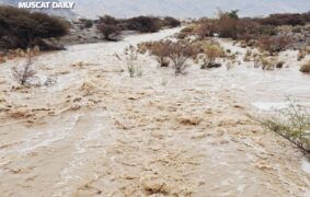 Contaminated wadi water poses severe health risks: MoH