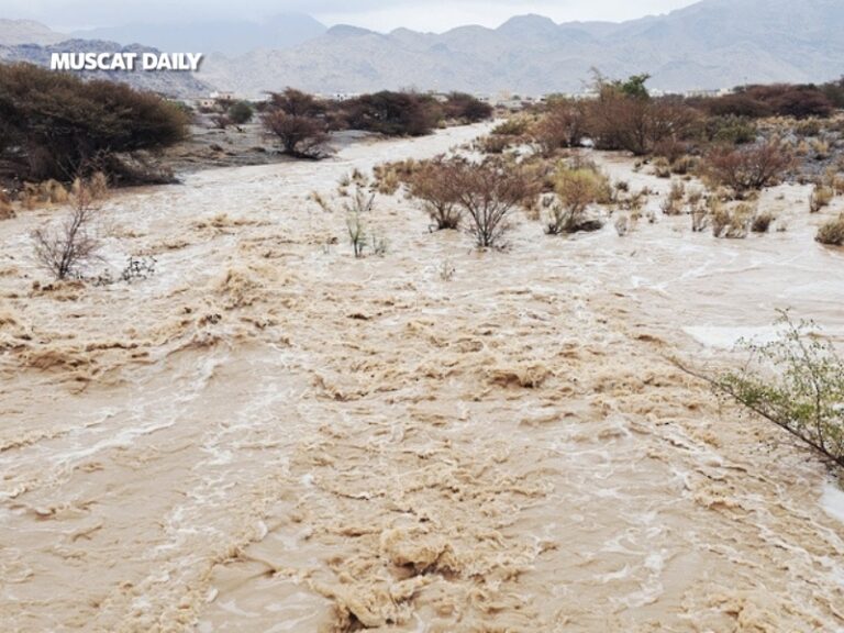 Contaminated wadi water poses severe health risks: MoH