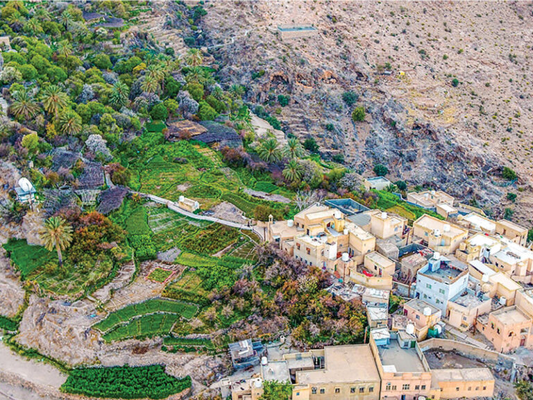 South Batinah to strengthen status as investment destination