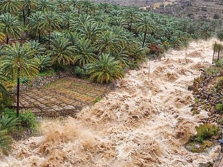Heavy rains trigger massive wadi flows and groundwater recharge