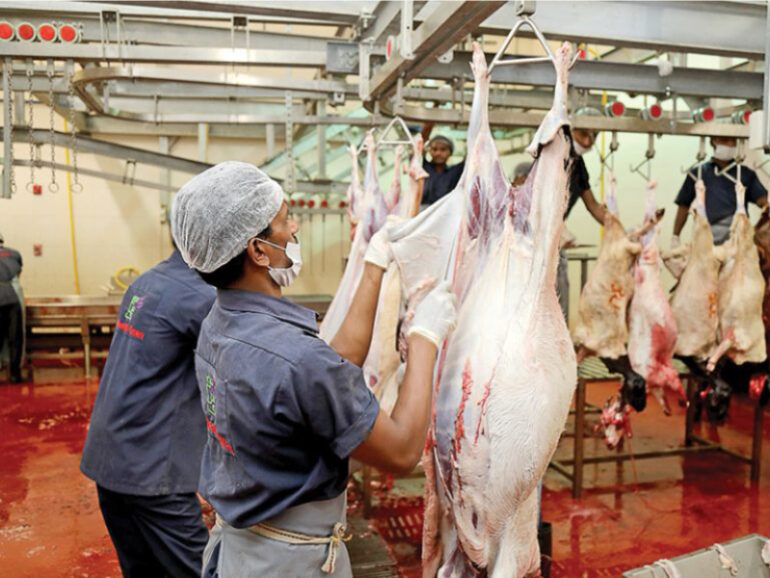 Safe slaughter practices vital as meat demand surges