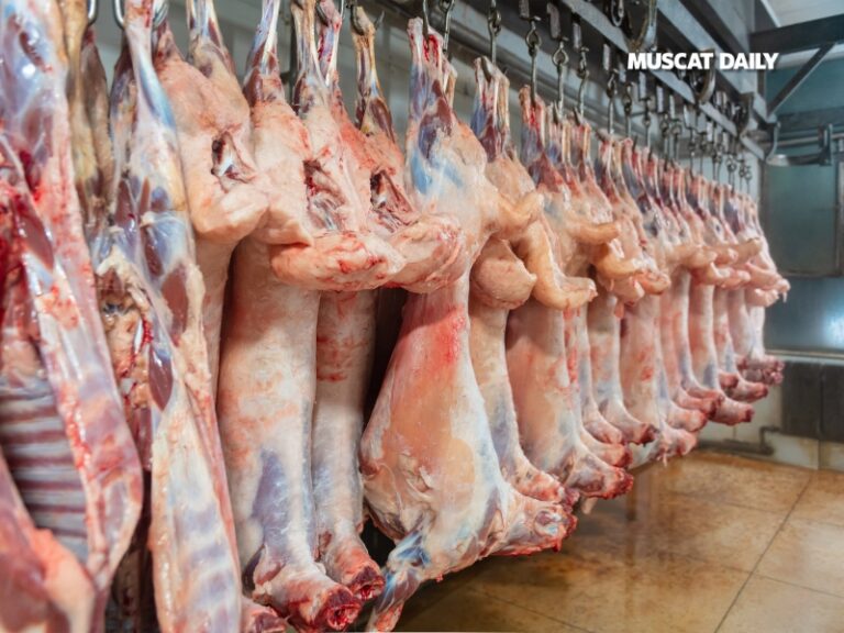 Muscat Municipality announces slaughterhouse operating hours