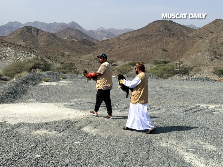 EA releases rare birds in Rustaq