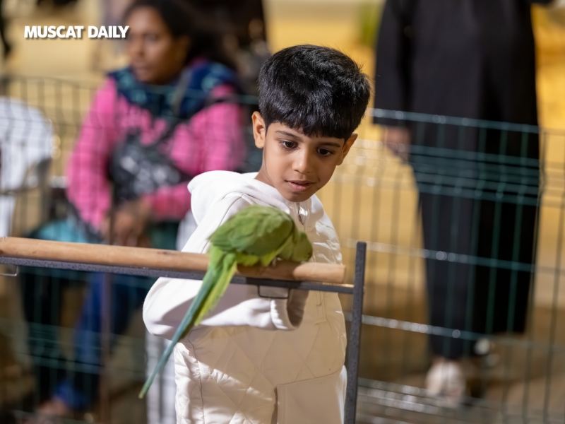 Feathered festival stars