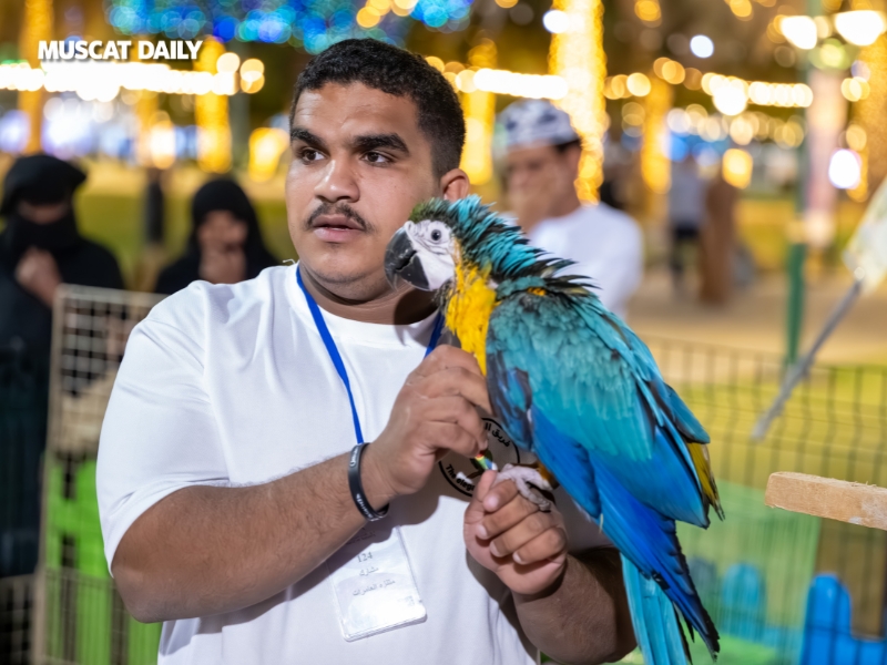Feathered festival stars