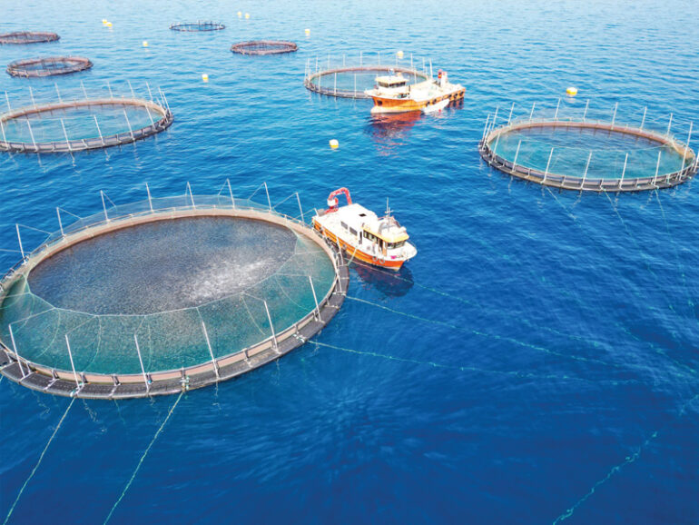 MAFWR issues new regulations to govern fishing, protect marine resources