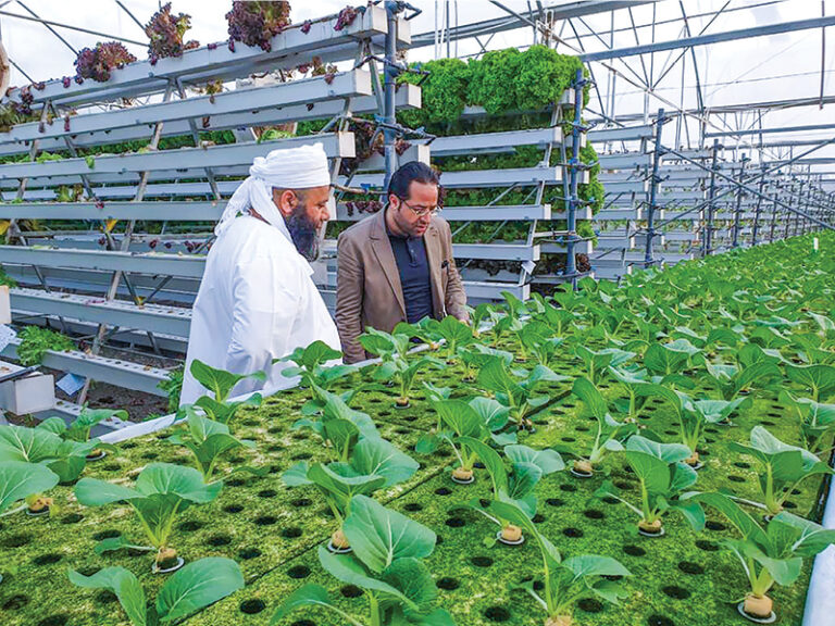 Najd, Suhar highlighted as hubs for proposed agricultural cities