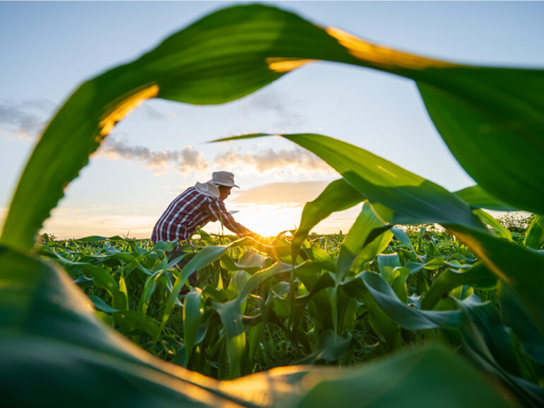 11 projects worth RO93mn to boost Oman's food security