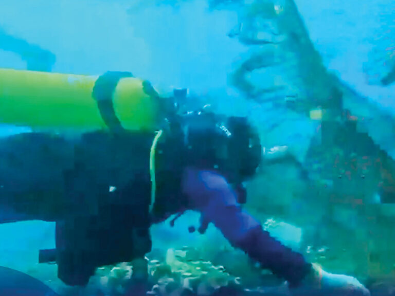 52 divers remove 800kg of marine waste from Dimaniyat Islands