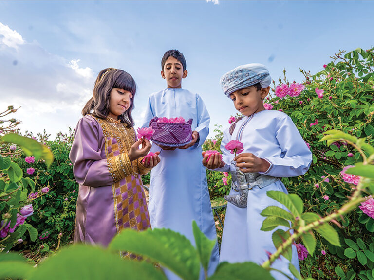 Rose harvest season drives surge in visitors to Jabal Akhdar: MHT