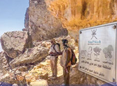 Dhofar opens trekking routes along legendary frankincense trails