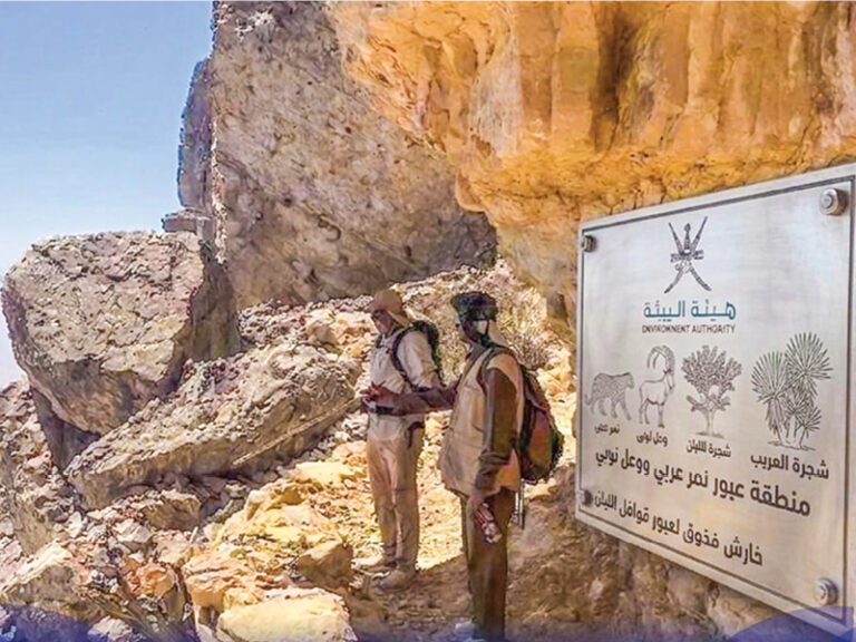 Dhofar opens trekking routes along legendary frankincense trails