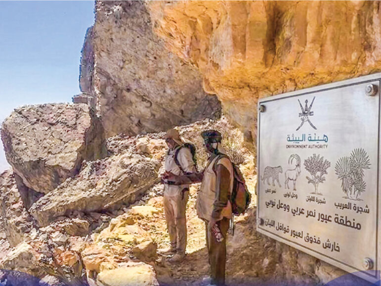 Dhofar opens trekking routes along legendary frankincense trails