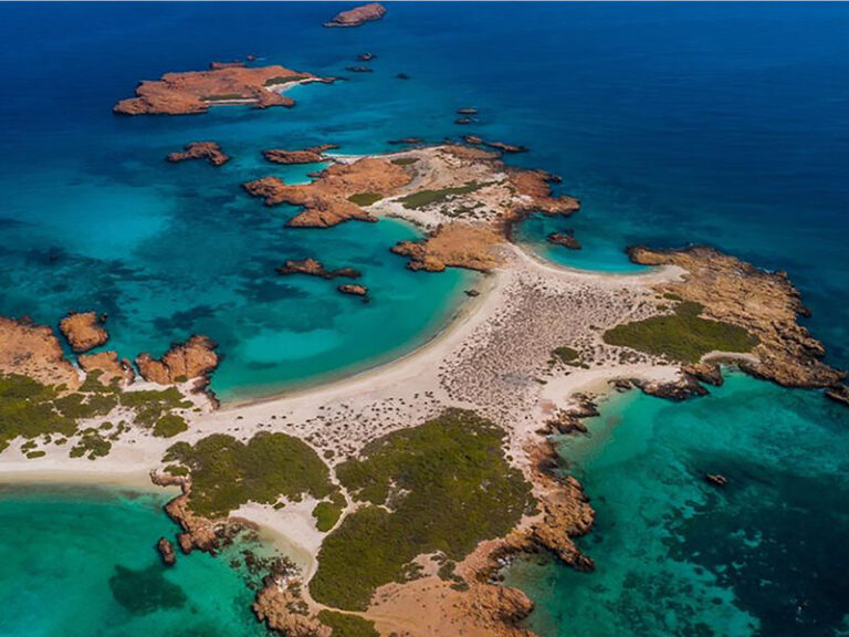 EA invites investors to operate Dimaniyat Islands