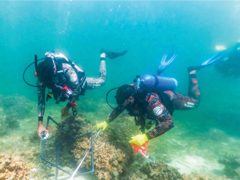 EA launches coral reef restoration project in Daymaniyat Islands