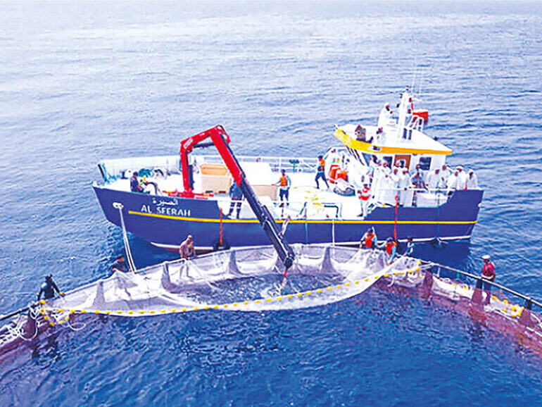 Muscat to host Indian Ocean Rim fisheries forum and exhibition from April 13 to 15
