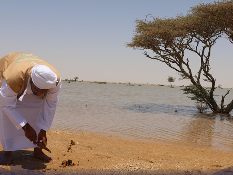2mn seeds to green Arabian Oryx Reserve
