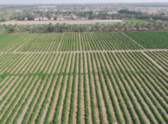 Six agri-investment projects launched in North Batinah