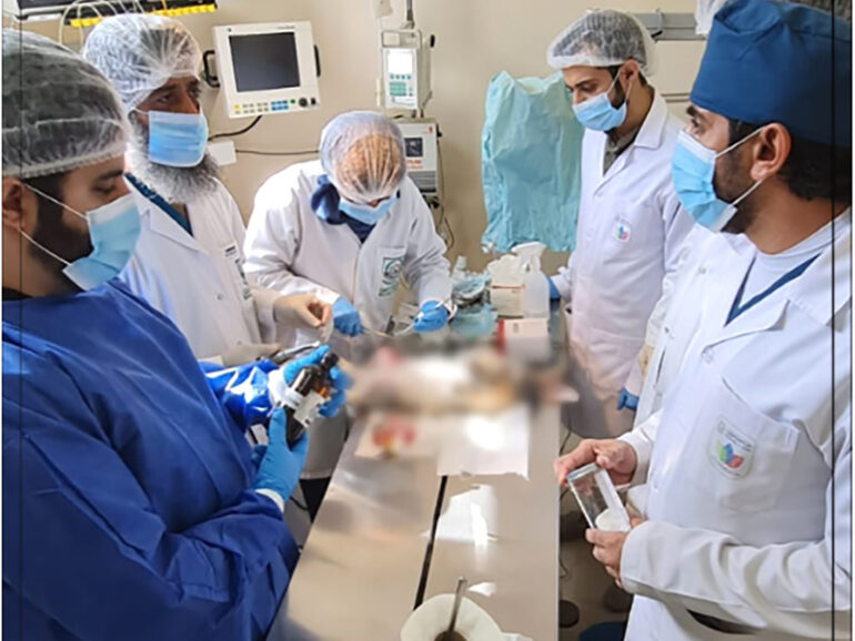 3D-printed dressing speeds up chronic wound healing