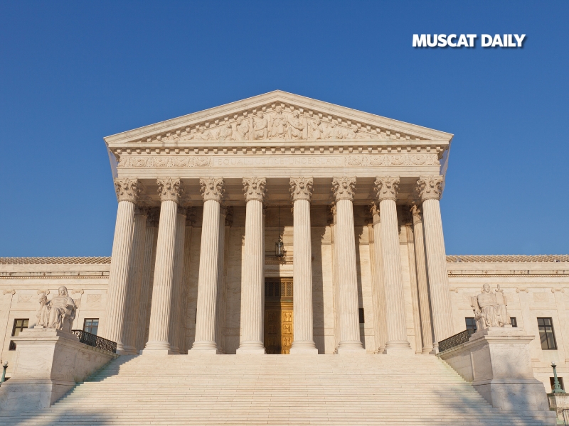 US Lawmakers Seek Trump's Removal