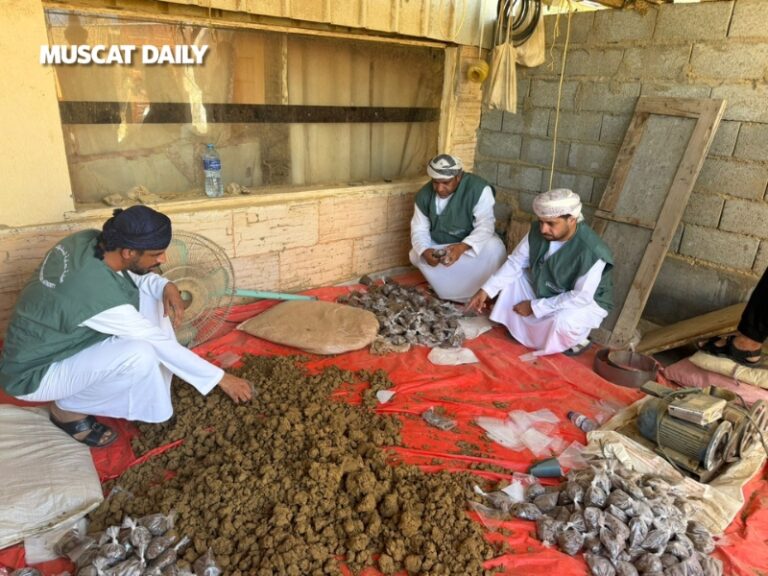 CPA seized over 800kg illegal chewing tobacco