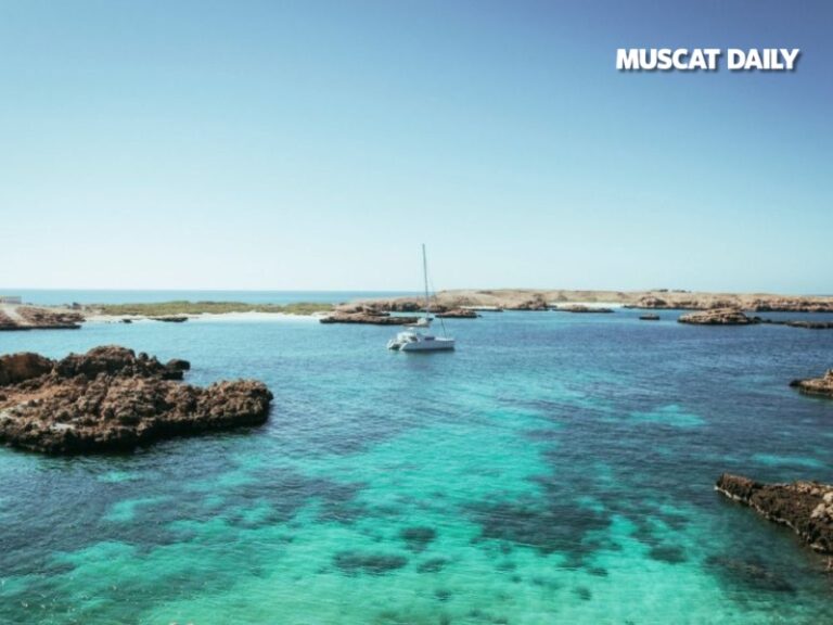 EA extends bid deadline for Daymaniyat Islands Nature Reserve