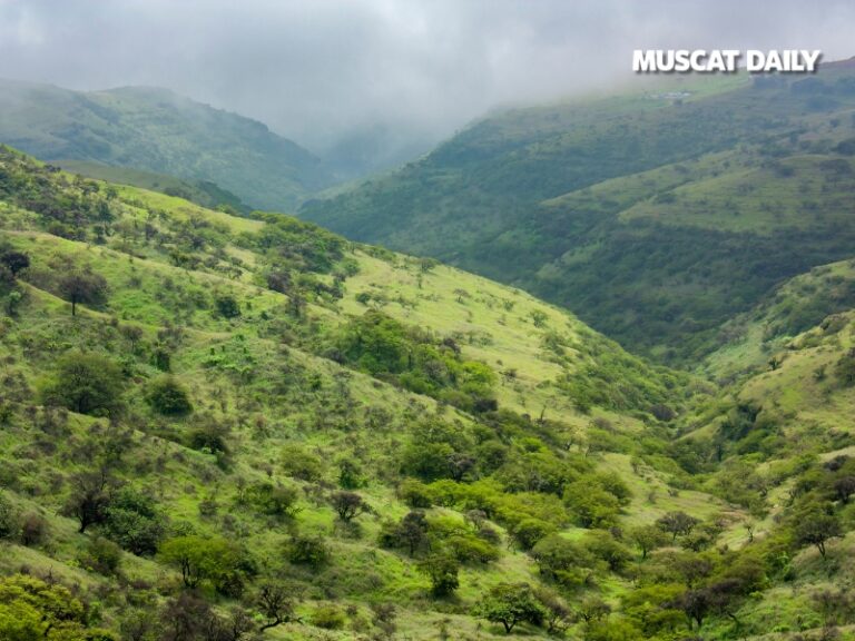 EA prohibits wild tree pruning in Dhofar