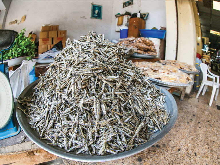 Research points to efficient drying for Oman’s traditional fish
