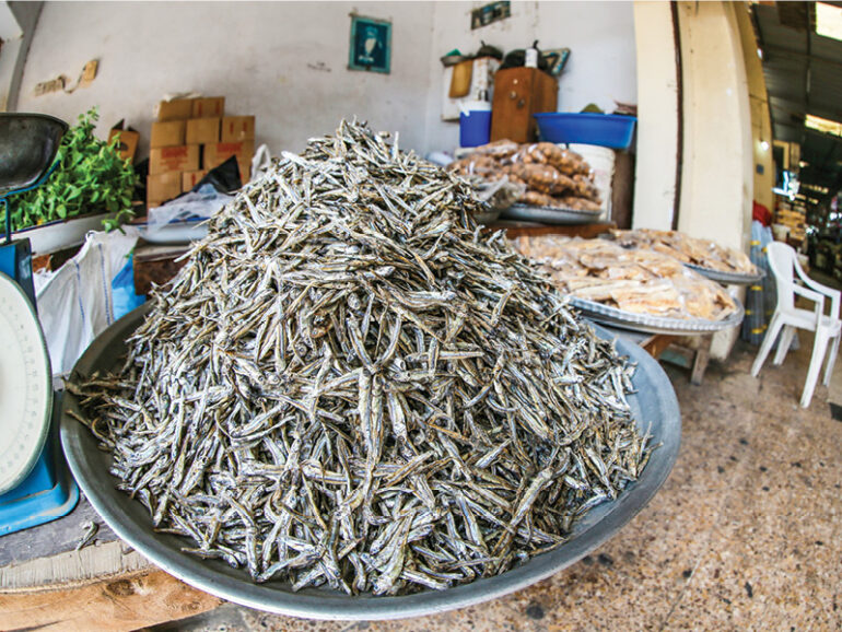 Research points to efficient drying for Oman’s traditional fish