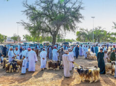 Habtas bring heritage, commerce together