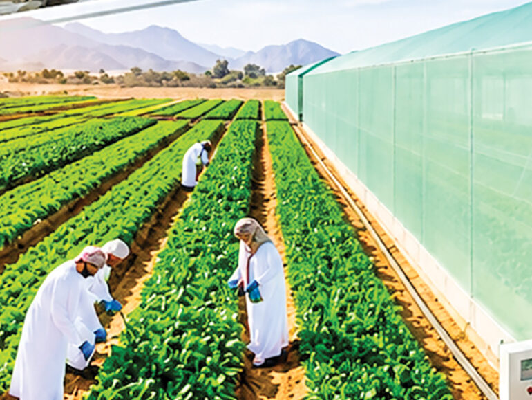 MAFWR announces agri-investment projects in Ibri