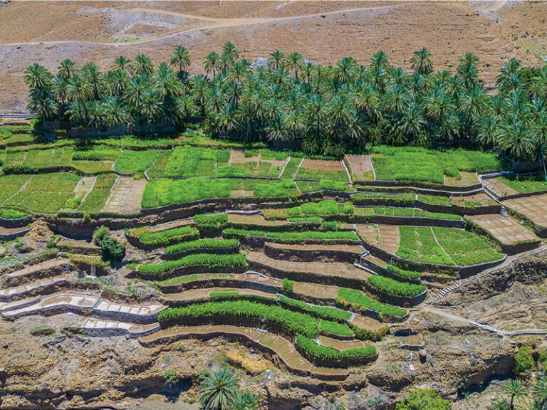 Terraces and trails draw summer visitors to Al Khad