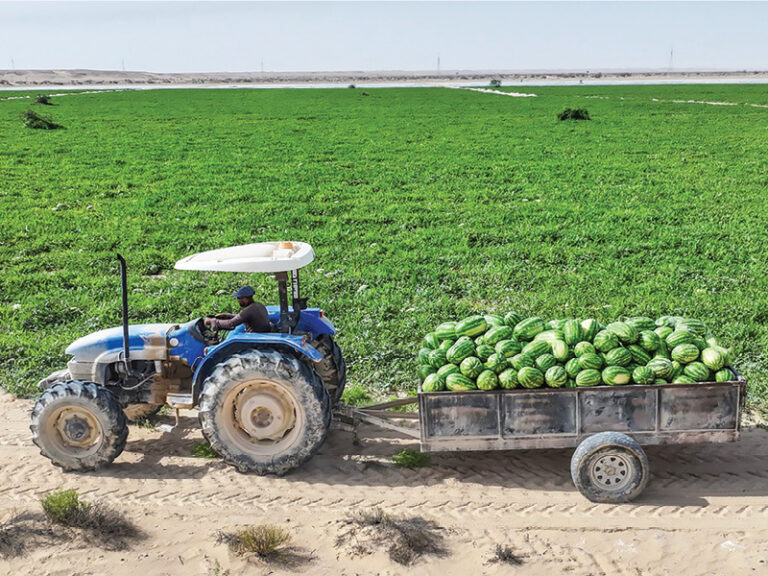 70 investment opportunities announced in Najd region