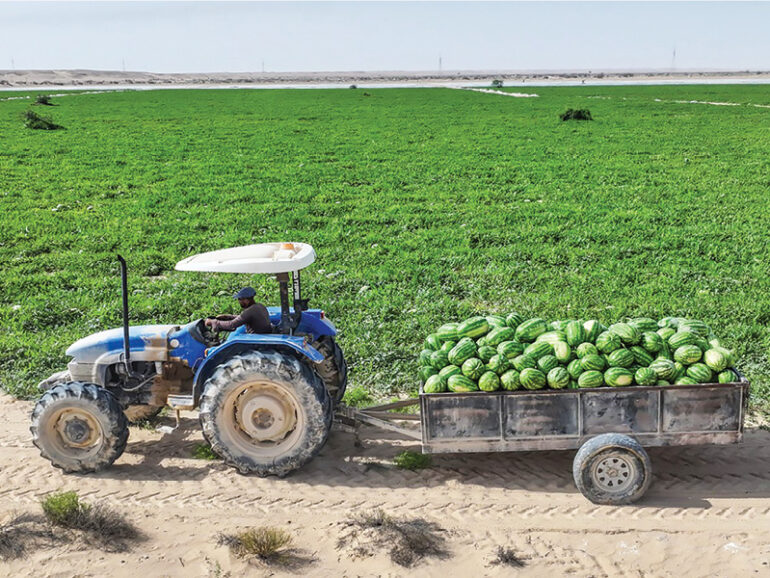 70 investment opportunities announced in Najd region