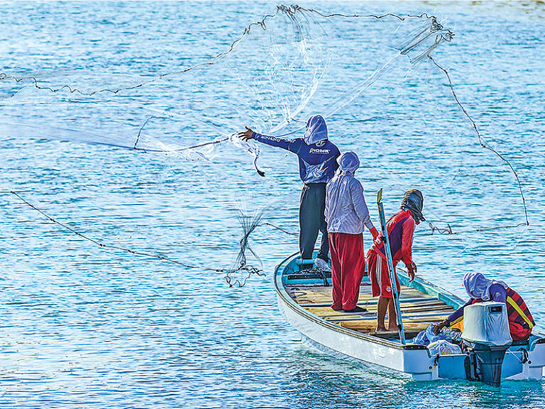 Calls grow to extend social protection to fishermen