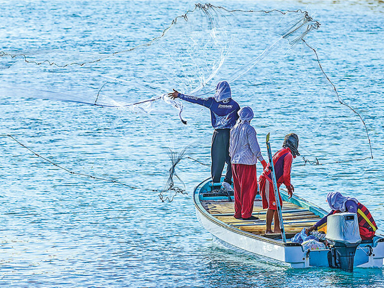 Calls grow to extend social protection to fishermen