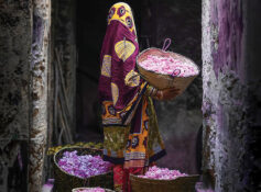 Omani documentary wins award for reviving heritage in Morocco