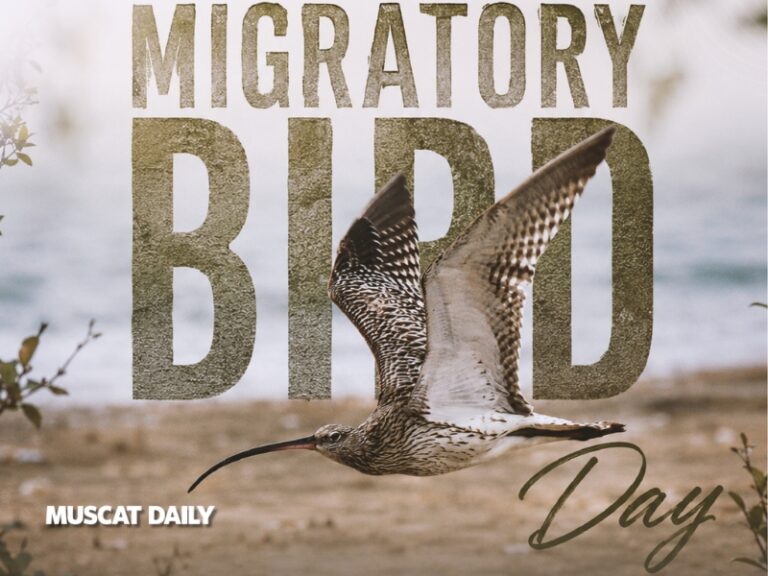 Musandam recognised as global hub for migratory birds