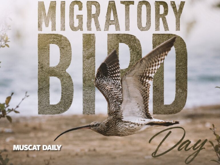 Musandam recognised as global hub for migratory birds