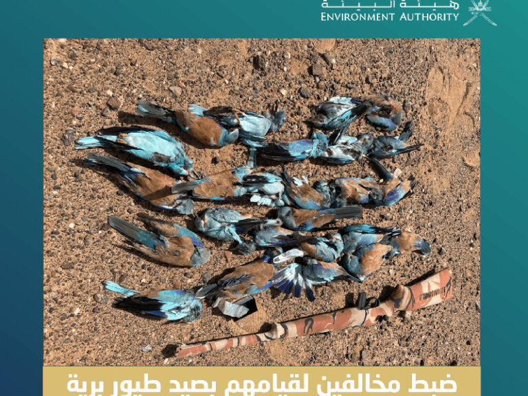 Drones and smart surveillance aid wildlife protection efforts in Oman: EA