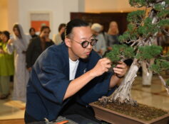 Bonsai