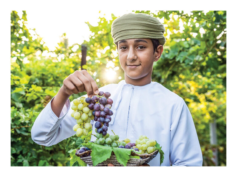 Grape Festival to celebrate Al Awabi’s agricultural heritage