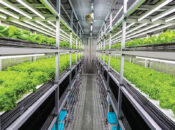 MAFWR expands green agriculture drive to reduce emissions