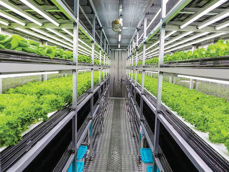MAFWR expands green agriculture drive to reduce emissions