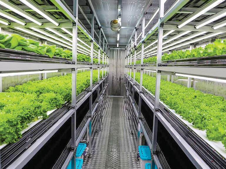 MAFWR expands green agriculture drive to reduce emissions