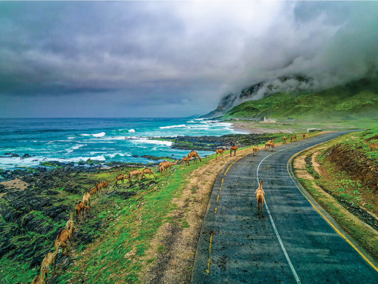 New attractions for Dhofar khareef 2026