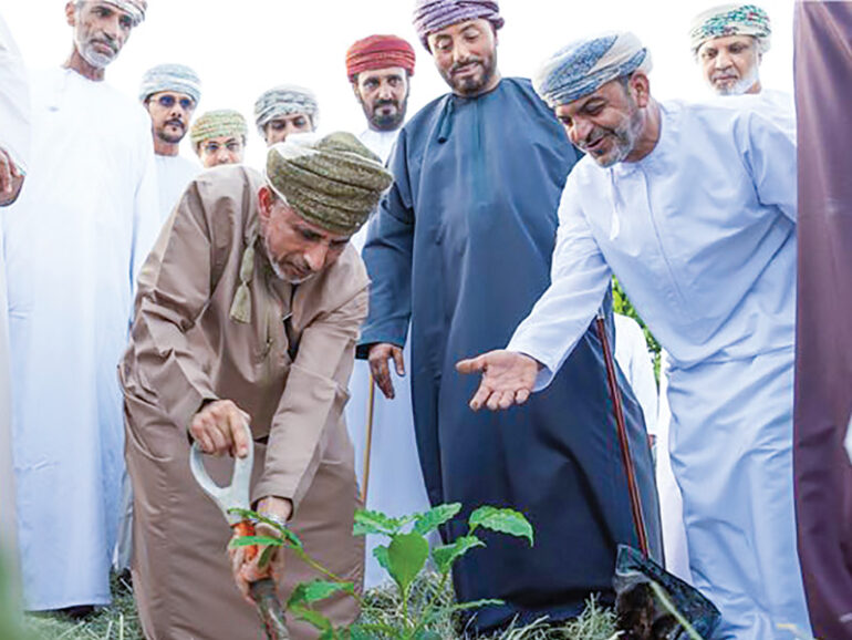 Dhofar Arabic coffee cultivation project Oman